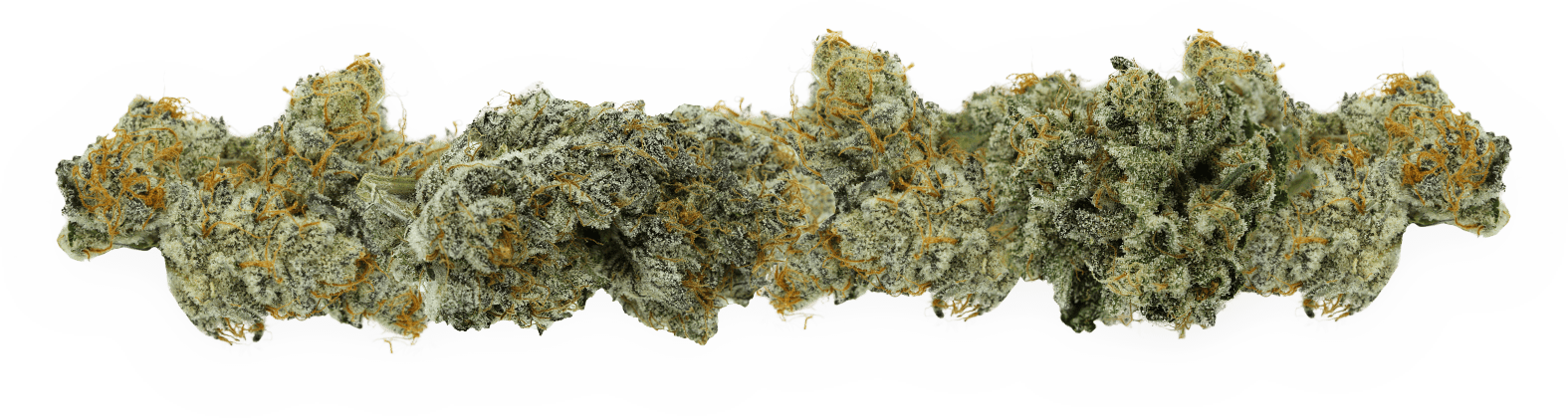 Fox-Cannabis-Buds